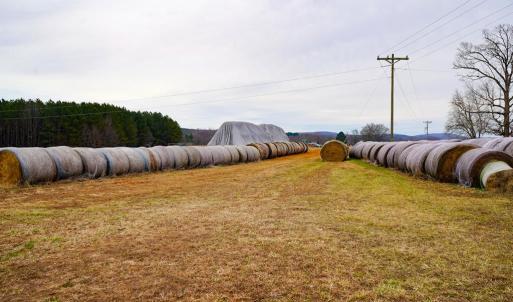 Photo #14 of 4031 Marion Road, Chatham, VA 100.0 acres