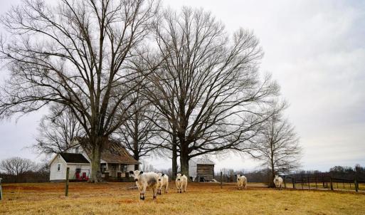 Photo #20 of 4031 Marion Road, Chatham, VA 100.0 acres