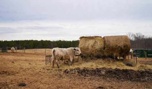 Photo #23 of 4031 Marion Road, Chatham, VA 100.0 acres