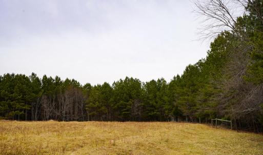 Photo #27 of 4031 Marion Road, Chatham, VA 100.0 acres