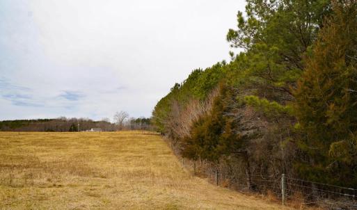 Photo #34 of 4031 Marion Road, Chatham, VA 100.0 acres