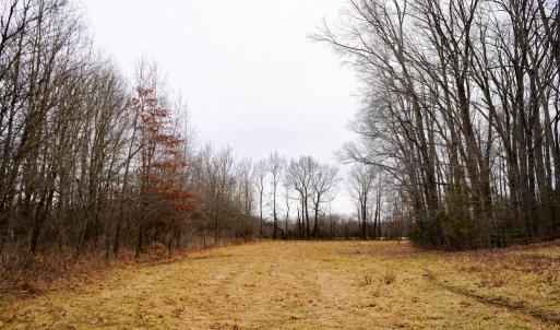 Photo #35 of 4031 Marion Road, Chatham, VA 100.0 acres