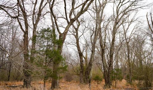 Photo #36 of 4031 Marion Road, Chatham, VA 100.0 acres