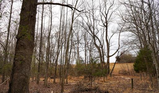 Photo #37 of 4031 Marion Road, Chatham, VA 100.0 acres