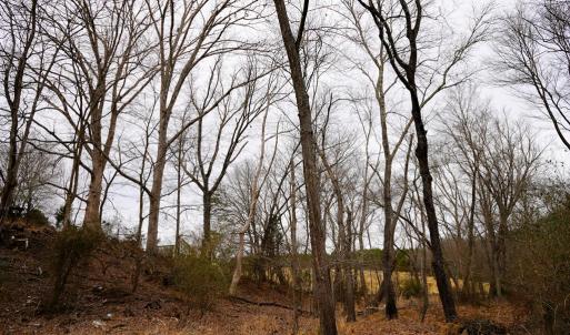 Photo #38 of 4031 Marion Road, Chatham, VA 100.0 acres