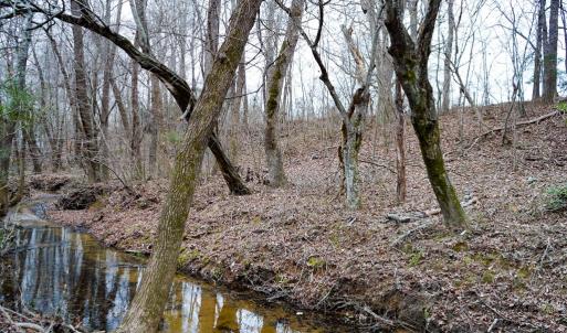 Photo #40 of 4031 Marion Road, Chatham, VA 100.0 acres