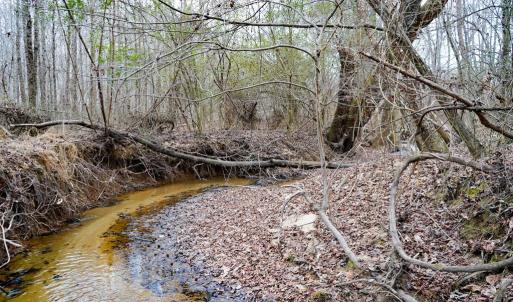 Photo #41 of 4031 Marion Road, Chatham, VA 100.0 acres