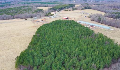 Photo #45 of 4031 Marion Road, Chatham, VA 100.0 acres