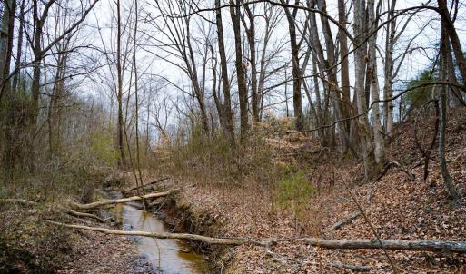 Photo #47 of 4031 Marion Road, Chatham, VA 100.0 acres