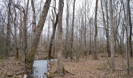 Photo #49 of 4031 Marion Road, Chatham, VA 100.0 acres