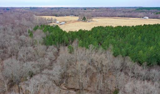 Photo #50 of 4031 Marion Road, Chatham, VA 100.0 acres