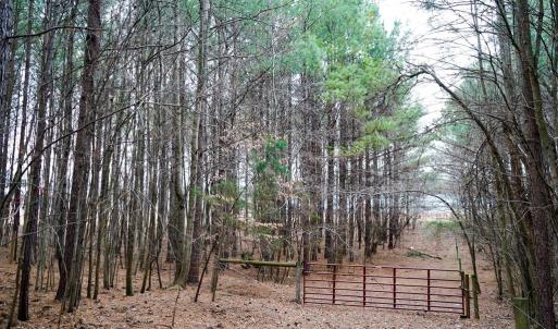 Photo #29 of 4031 Marion Road, Chatham, VA 100.0 acres