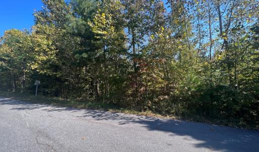 Photo #2 of 12 Booth St, Farmville, VA 1.1 acres