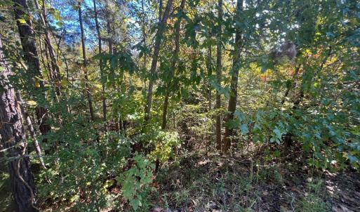 Photo #3 of 12 Booth St, Farmville, VA 1.1 acres