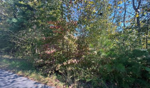 Photo #4 of 12 Booth St, Farmville, VA 1.1 acres