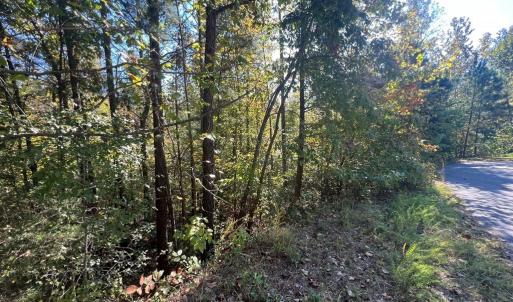 Photo #6 of 12 Booth St, Farmville, VA 1.1 acres