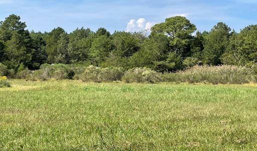 Photo #3 of Lot 55B BACK CREEK RD, HACKSNECK, VA 1.7 acres