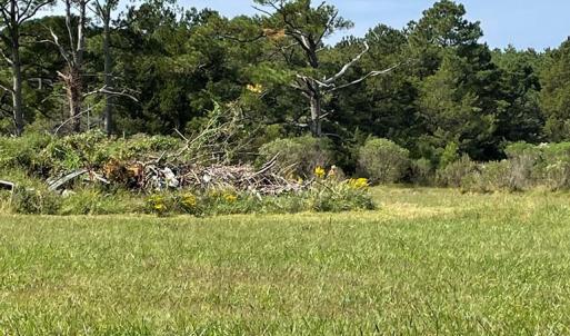 Photo #5 of Lot 55B BACK CREEK RD, HACKSNECK, VA 1.7 acres