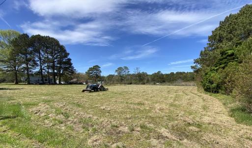 view from road towards the creek