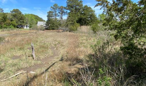 looking towards the end of the creek