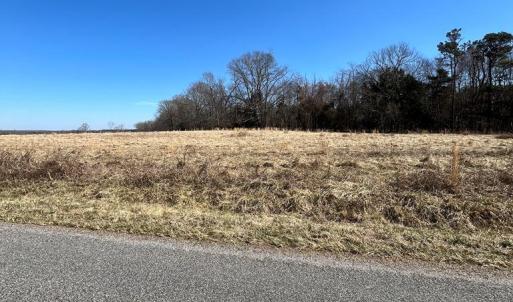 Photo #13 of BENT CREEK ROAD, Amelia, VA 47.0 acres
