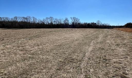 Photo #14 of BENT CREEK ROAD, Amelia, VA 47.0 acres