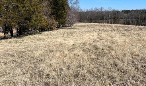 Photo #17 of BENT CREEK ROAD, Amelia, VA 47.0 acres