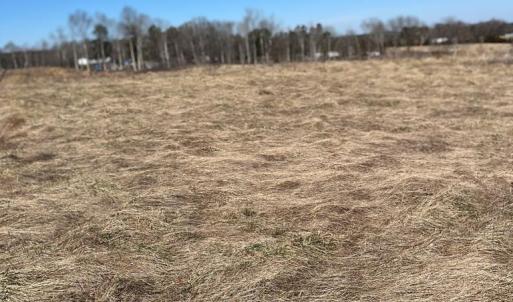 Photo #18 of BENT CREEK ROAD, Amelia, VA 47.0 acres