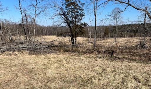 Photo #4 of BENT CREEK ROAD, Amelia, VA 47.0 acres
