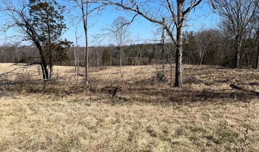 Photo #5 of BENT CREEK ROAD, Amelia, VA 47.0 acres
