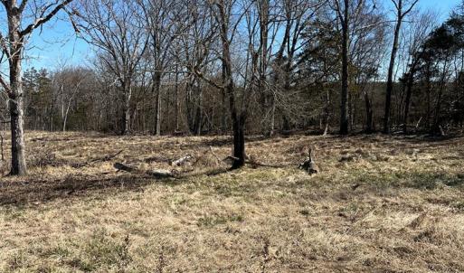 Photo #7 of BENT CREEK ROAD, Amelia, VA 47.0 acres