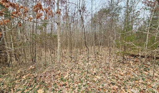 Photo #2 of 621 Evans Mill Rd, Dillwyn, VA 7.8 acres