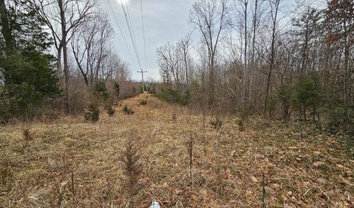 Photo #3 of 621 Evans Mill Rd, Dillwyn, VA 7.8 acres
