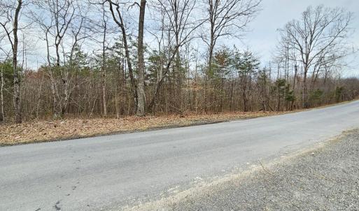 Photo #5 of 621 Evans Mill Rd, Dillwyn, VA 7.8 acres