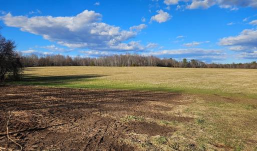Photo #14 of 360 PATRICK HENRY HYW, Amelia Court House, VA 30.0 acres