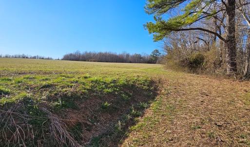 Photo #18 of 360 PATRICK HENRY HYW, Amelia Court House, VA 30.0 acres