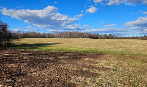 Photo #14 of 360 PATRICK HENRY HYWY, Amelia Court House, VA 27.8 acres