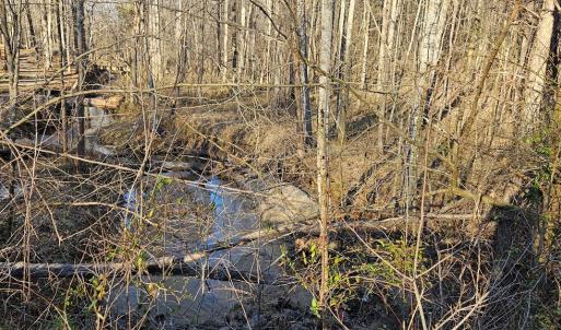 Photo #2 of 640 RICHARDSON ROAD, Amelia Court House, VA 79.1 acres