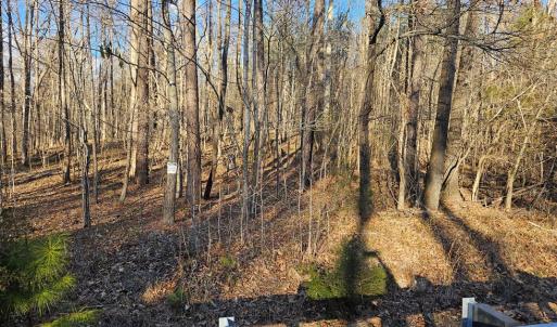 Photo #5 of 640 RICHARDSON ROAD, Amelia Court House, VA 79.1 acres
