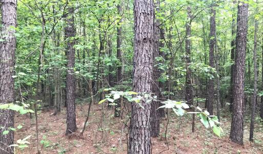Photo #4 of 60 W. James Anderson Hwy, Buckingham, VA 35.3 acres