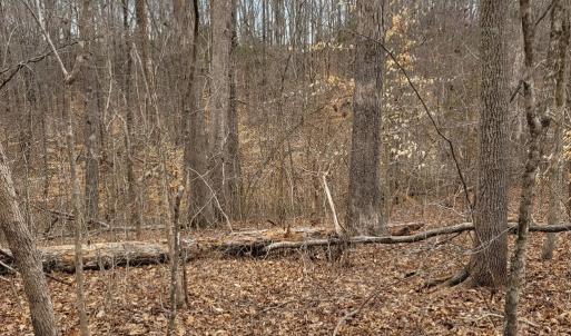 Lovely Homesite Among Hardwoods