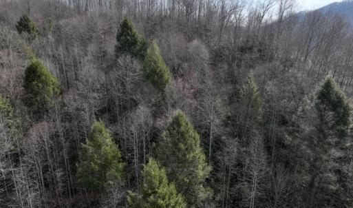 Photo #2 of 00 Helen Henderson Highway, Honaker, VA 21.0 acres