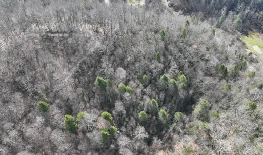Photo #22 of 00 Helen Henderson Highway, Honaker, VA 21.0 acres