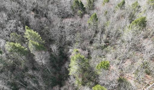 Photo #23 of 00 Helen Henderson Highway, Honaker, VA 21.0 acres