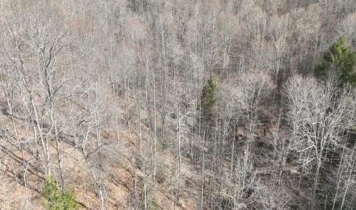 Photo #24 of 00 Helen Henderson Highway, Honaker, VA 21.0 acres