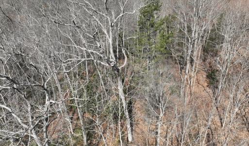 Photo #25 of 00 Helen Henderson Highway, Honaker, VA 21.0 acres