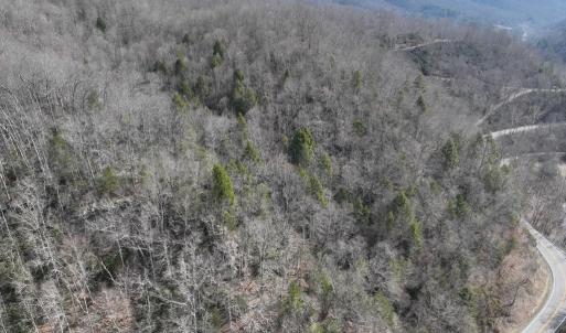 Photo #31 of 00 Helen Henderson Highway, Honaker, VA 21.0 acres