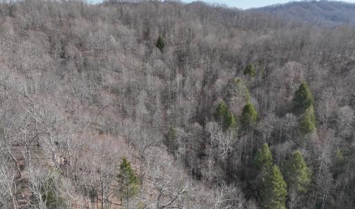 Photo #32 of 00 Helen Henderson Highway, Honaker, VA 21.0 acres