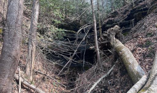 Photo #38 of 00 Helen Henderson Highway, Honaker, VA 21.0 acres