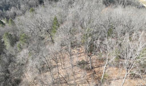 Photo #4 of 00 Helen Henderson Highway, Honaker, VA 21.0 acres